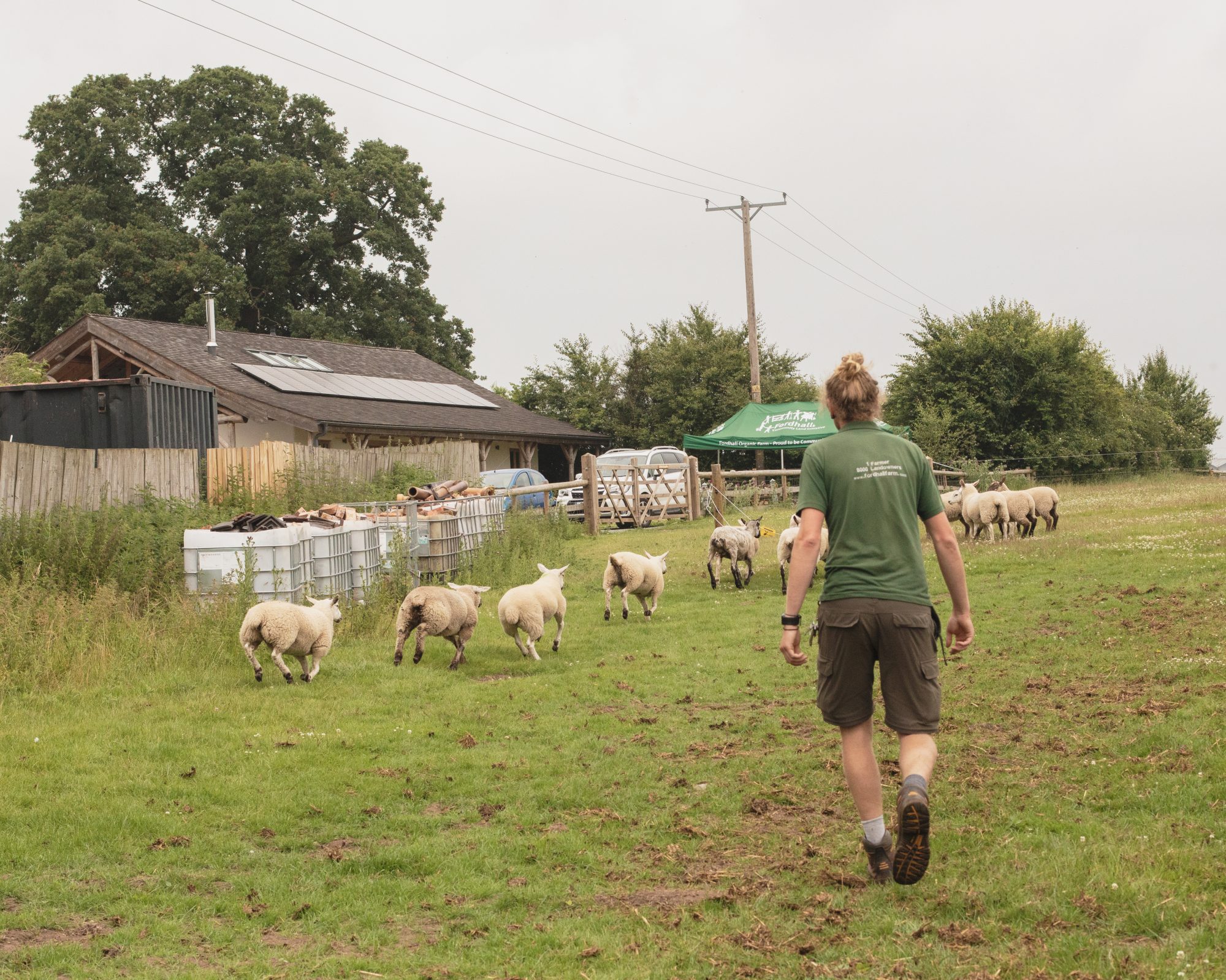 Digital skills: Fordhall Farm