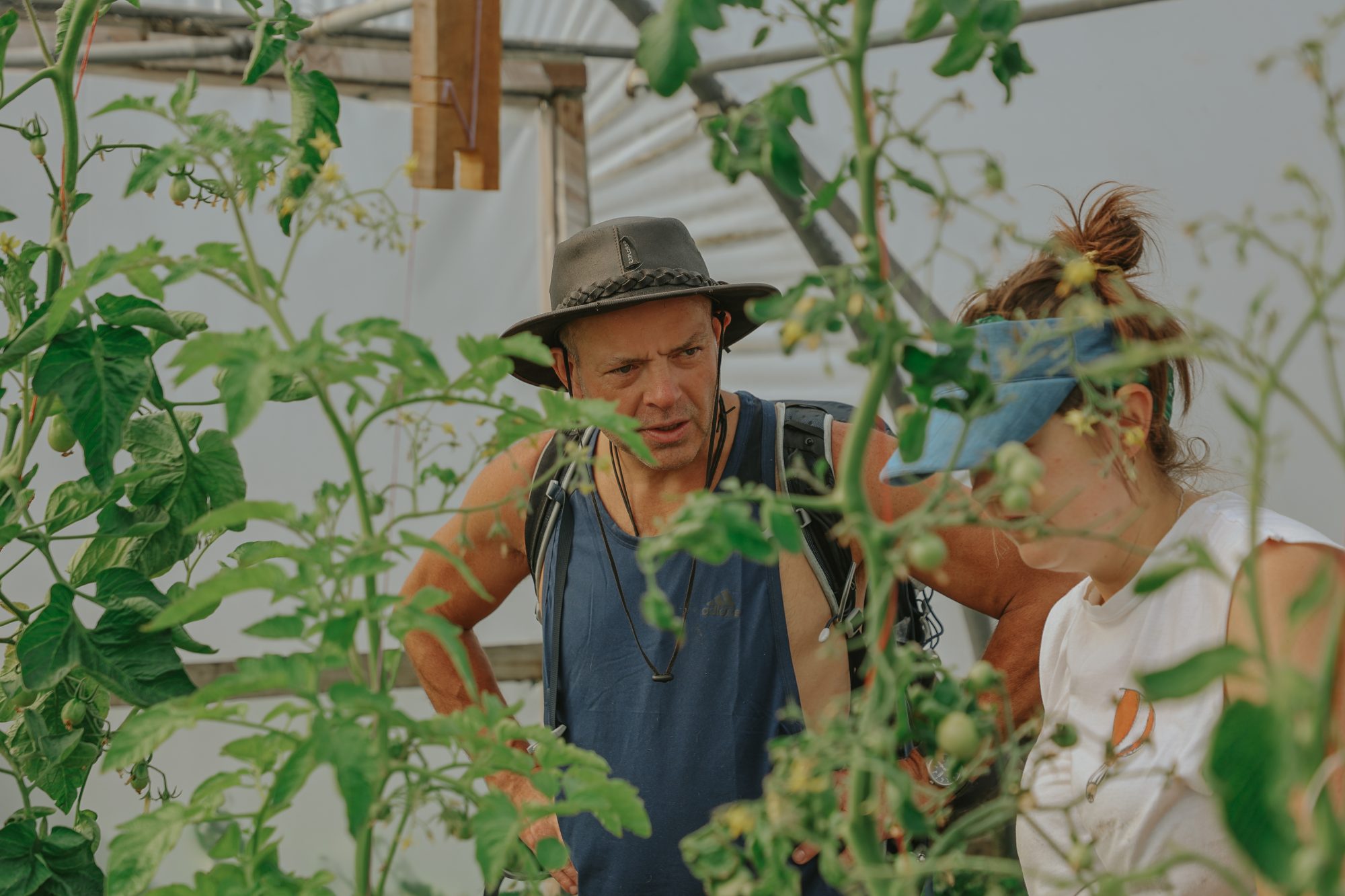 Community business climate action programme scoping study